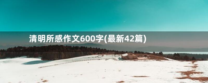 清明所感作文600字(最新42篇)