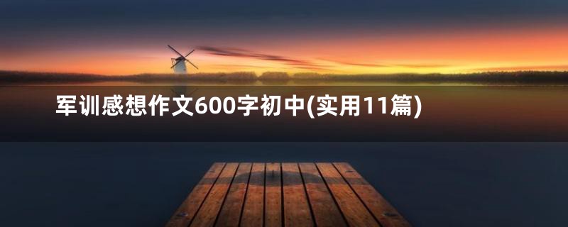 军训感想作文600字初中(实用11篇)