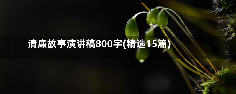 清廉故事演讲稿800字(精选15篇)