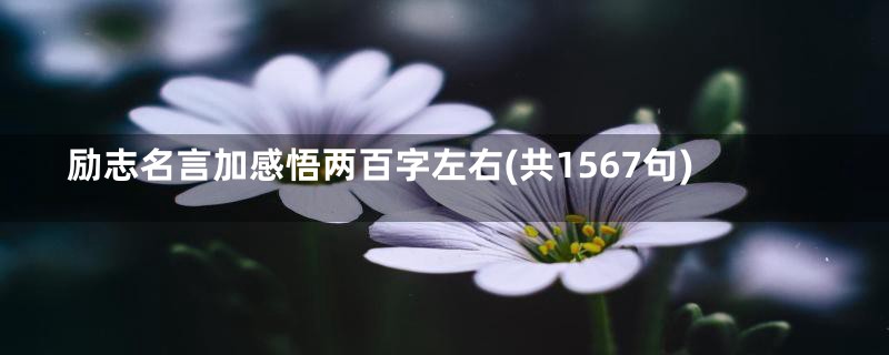 励志名言加感悟两百字左右(共1567句)