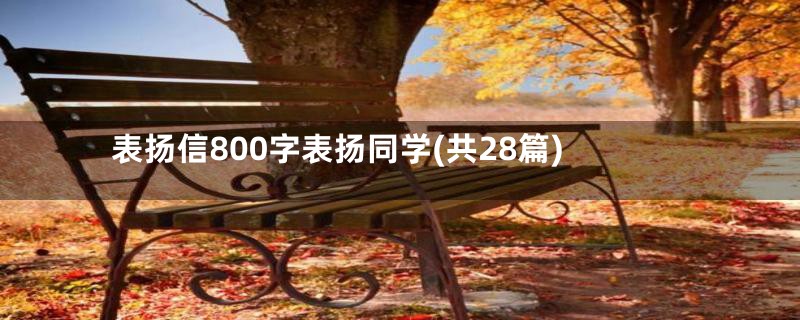 表扬信800字表扬同学(共28篇)