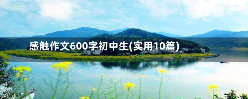 感触作文600字初中生(实用10篇)