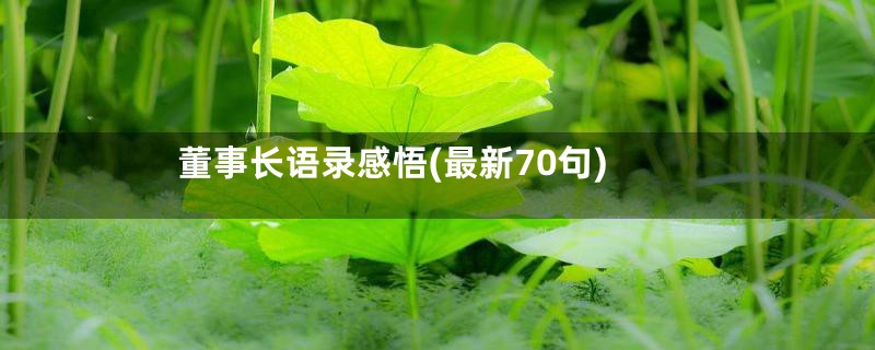 董事长语录感悟(最新70句)