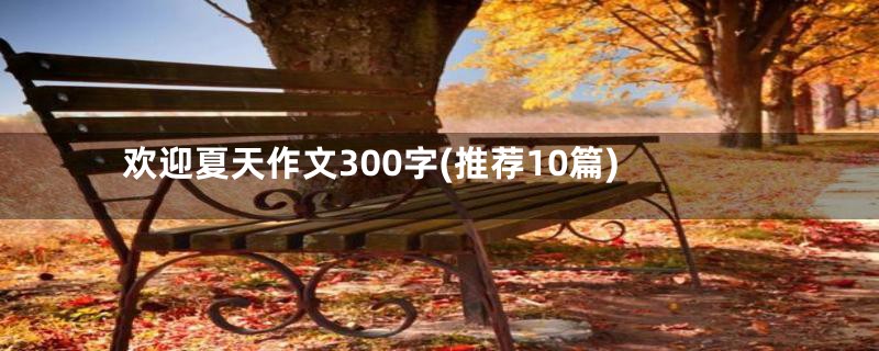 欢迎夏天作文300字(推荐10篇)