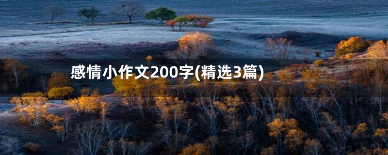 感情小作文200字(精选3篇)