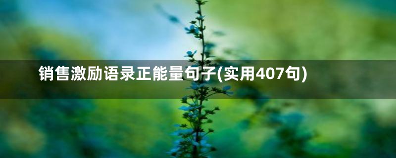 销售激励语录正能量句子(实用407句)