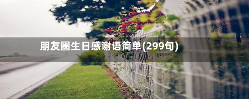 朋友圈生日感谢语简单(299句)