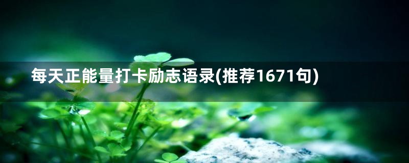 每天正能量打卡励志语录(推荐1671句)