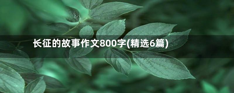 长征的故事作文800字(精选6篇)