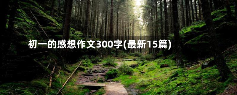 初一的感想作文300字(最新15篇)