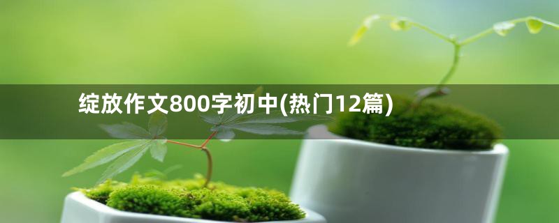 绽放作文800字初中(热门12篇)