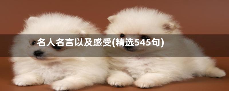 名人名言以及感受(精选545句)