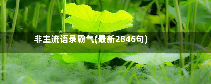 非主流语录霸气(最新2846句)