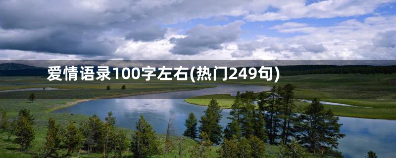 爱情语录100字左右(热门249句)