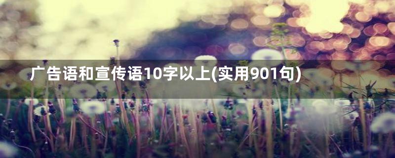 广告语和宣传语10字以上(实用901句)