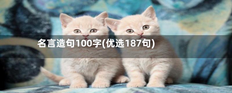 名言造句100字(优选187句)