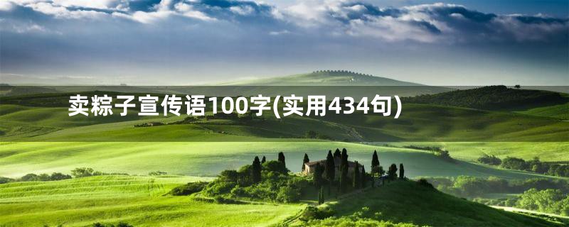 卖粽子宣传语100字(实用434句)