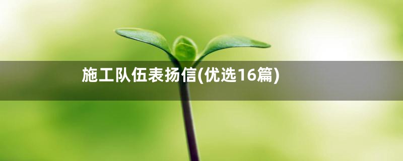 施工队伍表扬信(优选16篇)