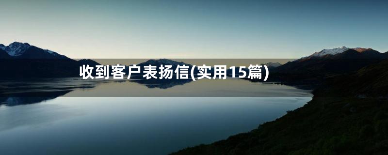 收到客户表扬信(实用15篇)