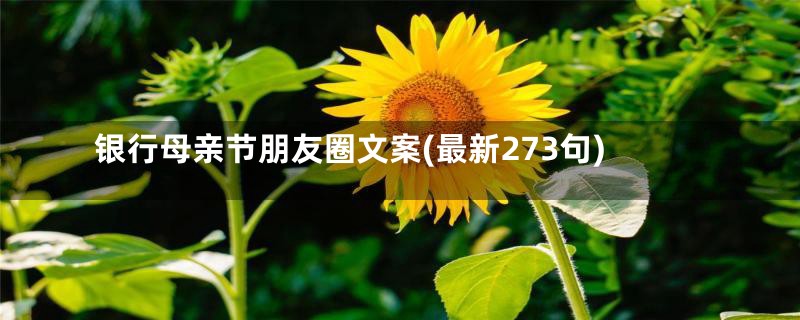 银行母亲节朋友圈文案(最新273句)