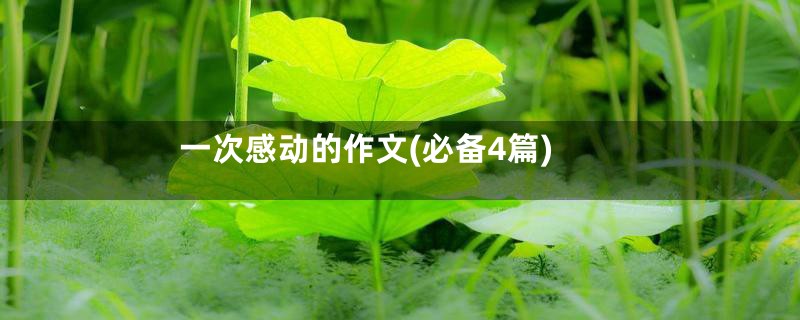 一次感动的作文(必备4篇)