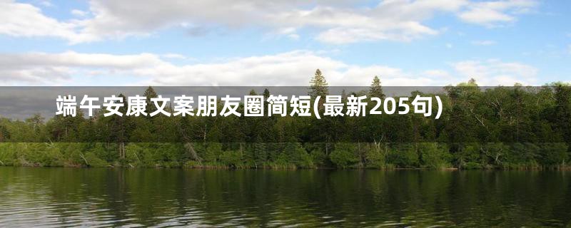 端午安康文案朋友圈简短(最新205句)