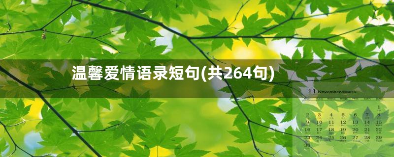 温馨爱情语录短句(共264句)