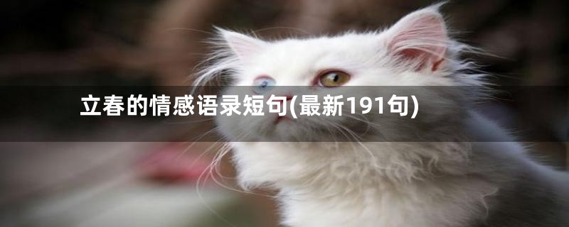 立春的情感语录短句(最新191句)