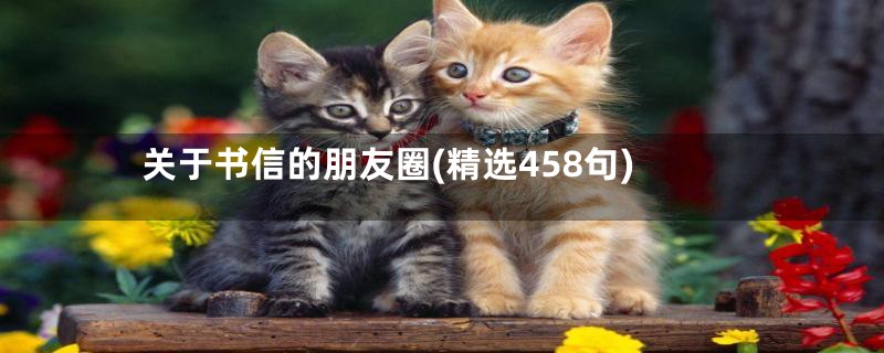 关于书信的朋友圈(精选458句)