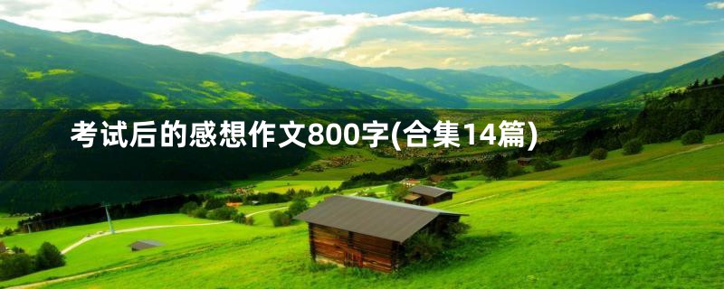 考试后的感想作文800字(合集14篇)