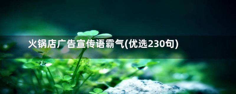 火锅店广告宣传语霸气(优选230句)