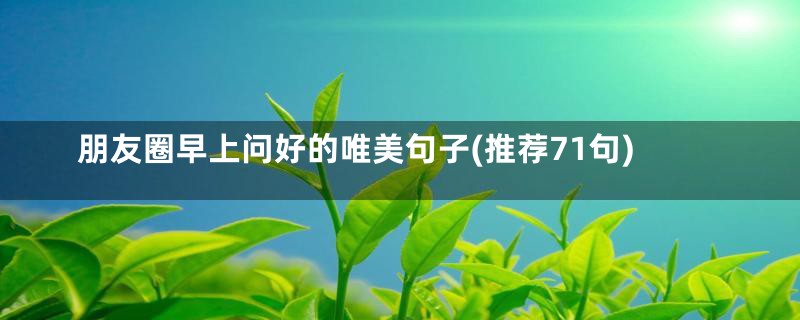 朋友圈早上问好的唯美句子(推荐71句)