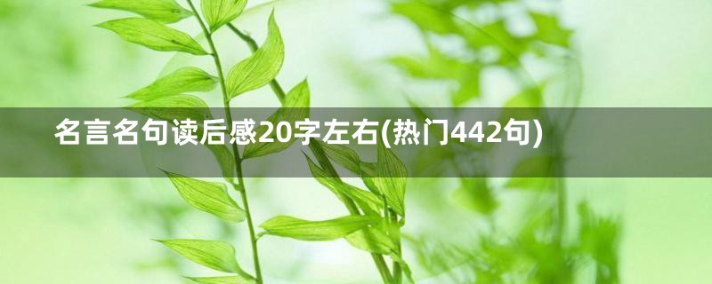 名言名句读后感20字左右(热门442句)