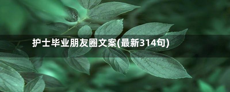 护士毕业朋友圈文案(最新314句)