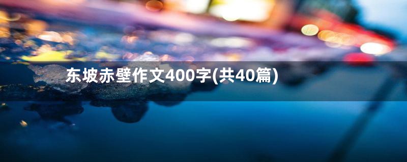 东坡赤壁作文400字(共40篇)