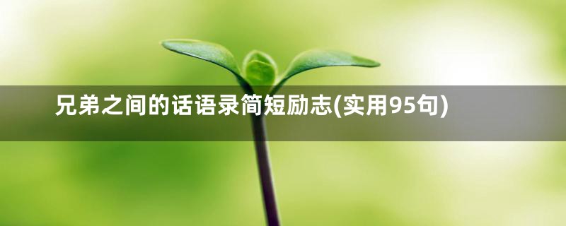 兄弟之间的话语录简短励志(实用95句)