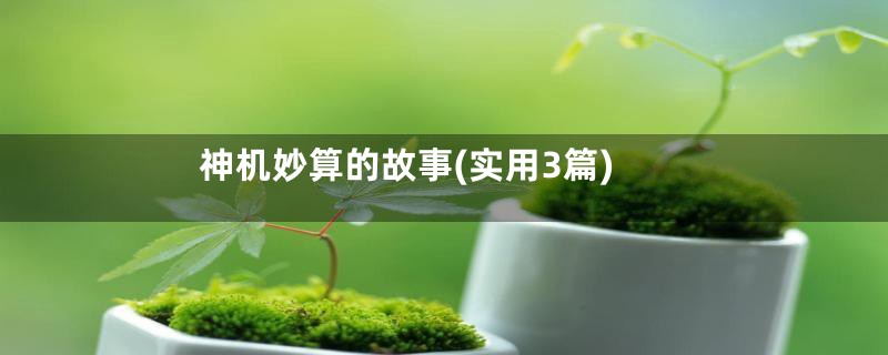 神机妙算的故事(实用3篇)