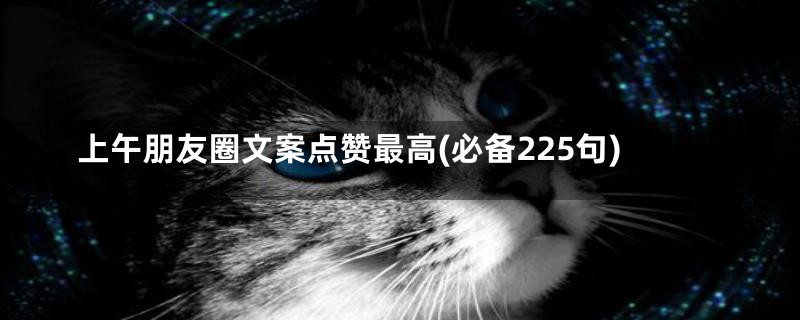 上午朋友圈文案点赞最高(必备225句)