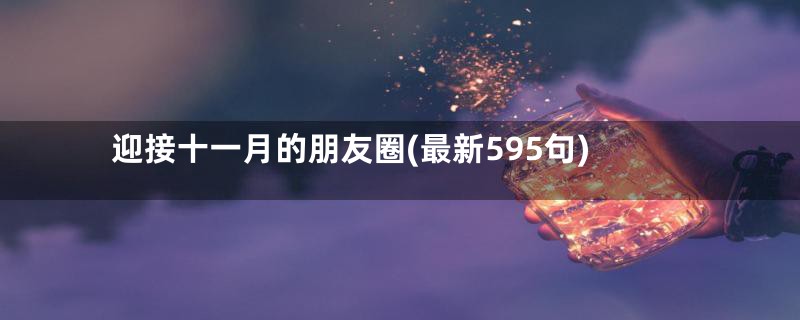 迎接十一月的朋友圈(最新595句)