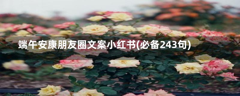 端午安康朋友圈文案小红书(必备243句)