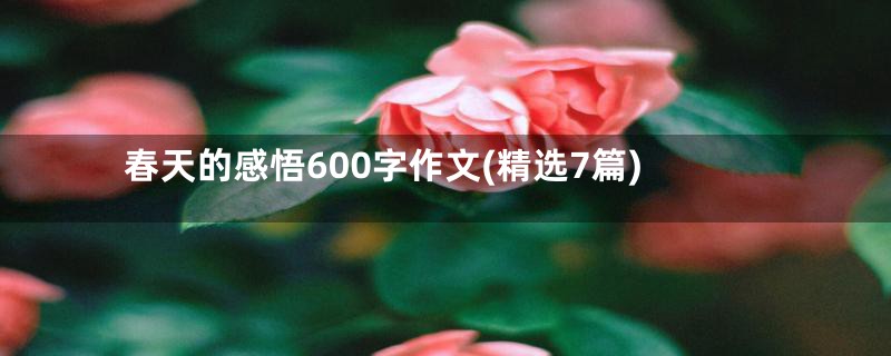 春天的感悟600字作文(精选7篇)