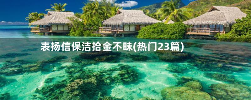 表扬信保洁拾金不昧(热门23篇)