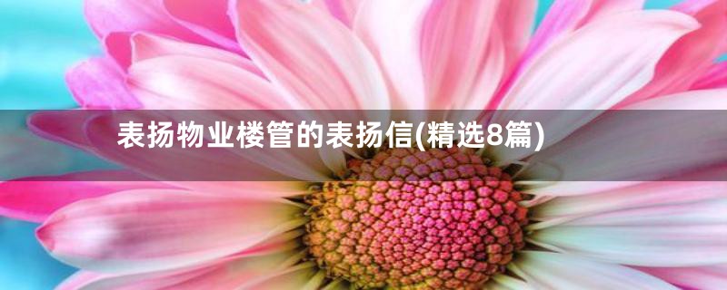 表扬物业楼管的表扬信(精选8篇)