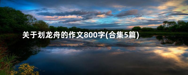 关于划龙舟的作文800字(合集5篇)