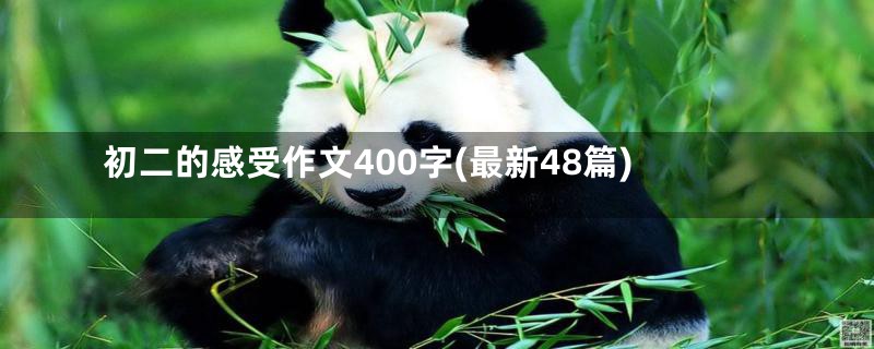 初二的感受作文400字(最新48篇)