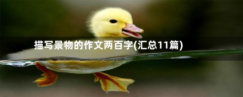 描写景物的作文两百字(汇总11篇)