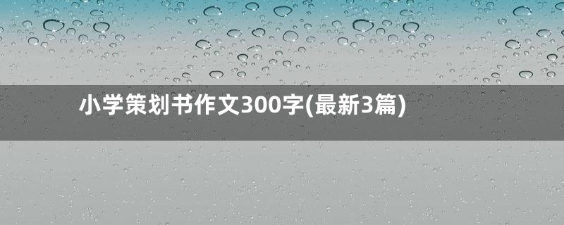 小学策划书作文300字(最新3篇)