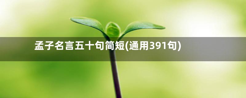 孟子名言五十句简短(通用391句)