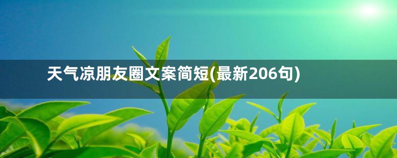 天气凉朋友圈文案简短(最新206句)