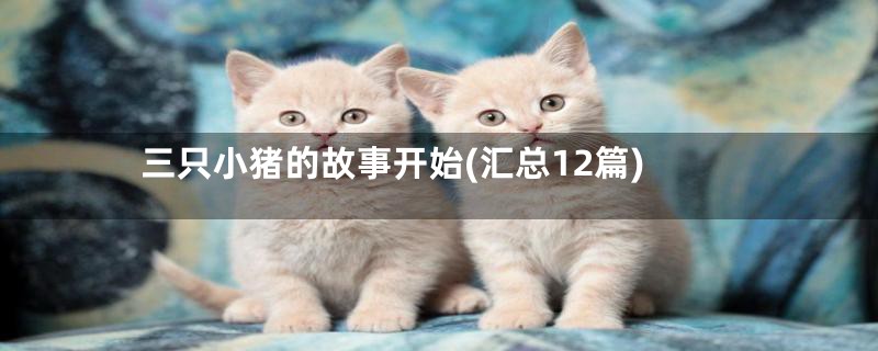 三只小猪的故事开始(汇总12篇)